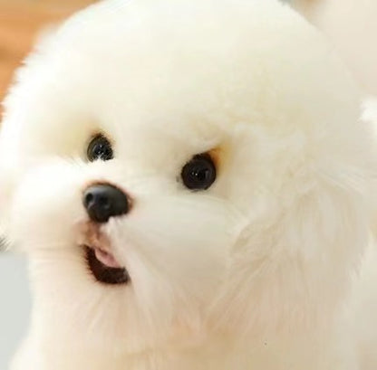 Cute Realistic White Dog Plush Plush Toys Kids Gift