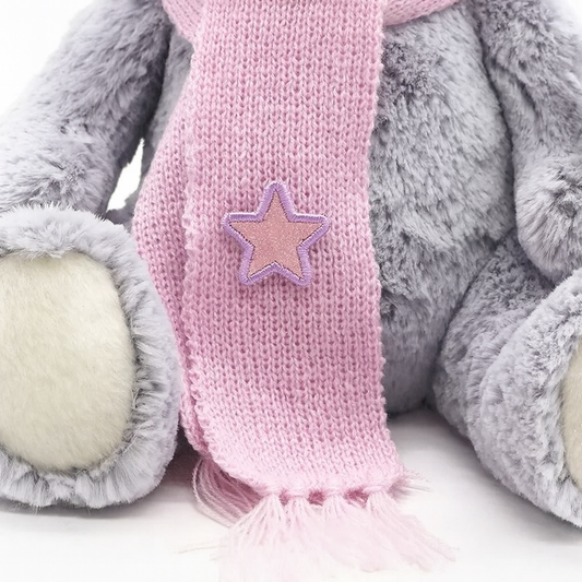 Lucky Star Bear Plush Toy