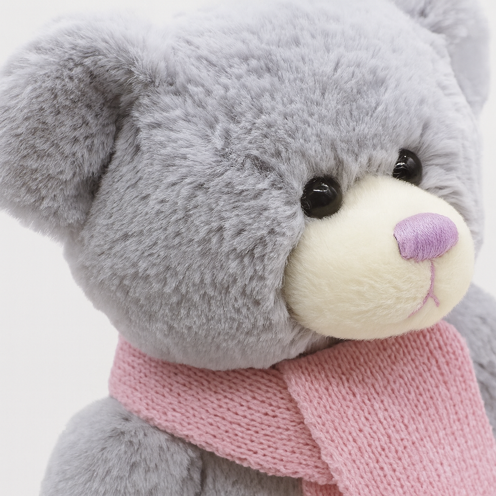 Lucky Star Bear Plush Toy