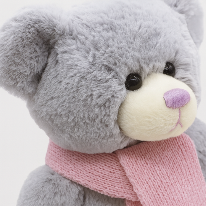 Lucky Star Bear Plush Toy
